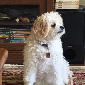 Meet your Posher, Diane